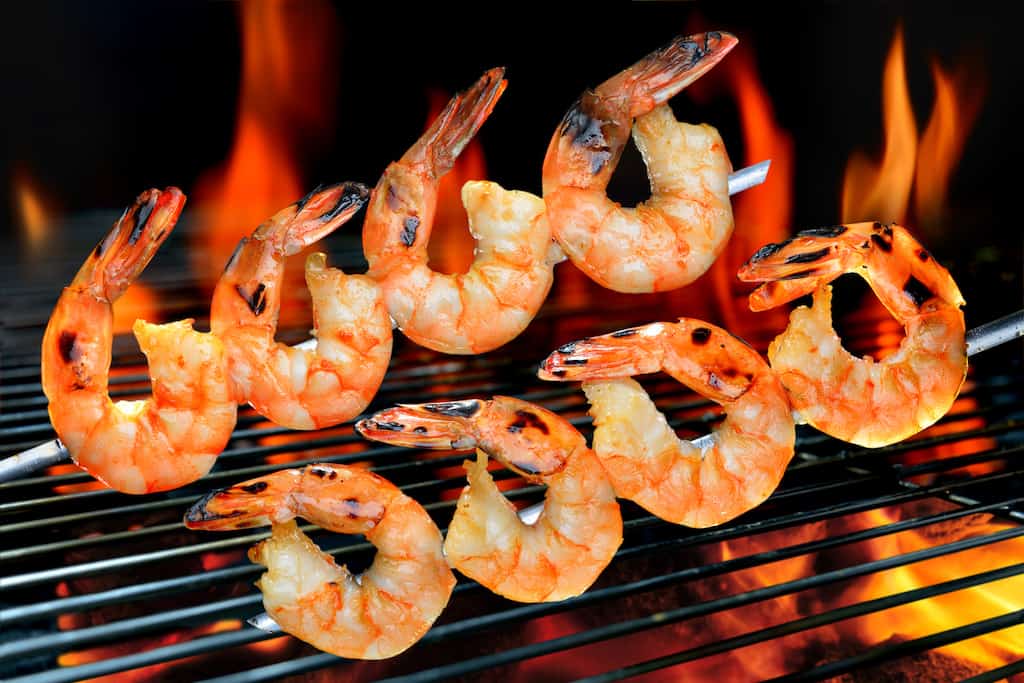 Grillede Rejespyd