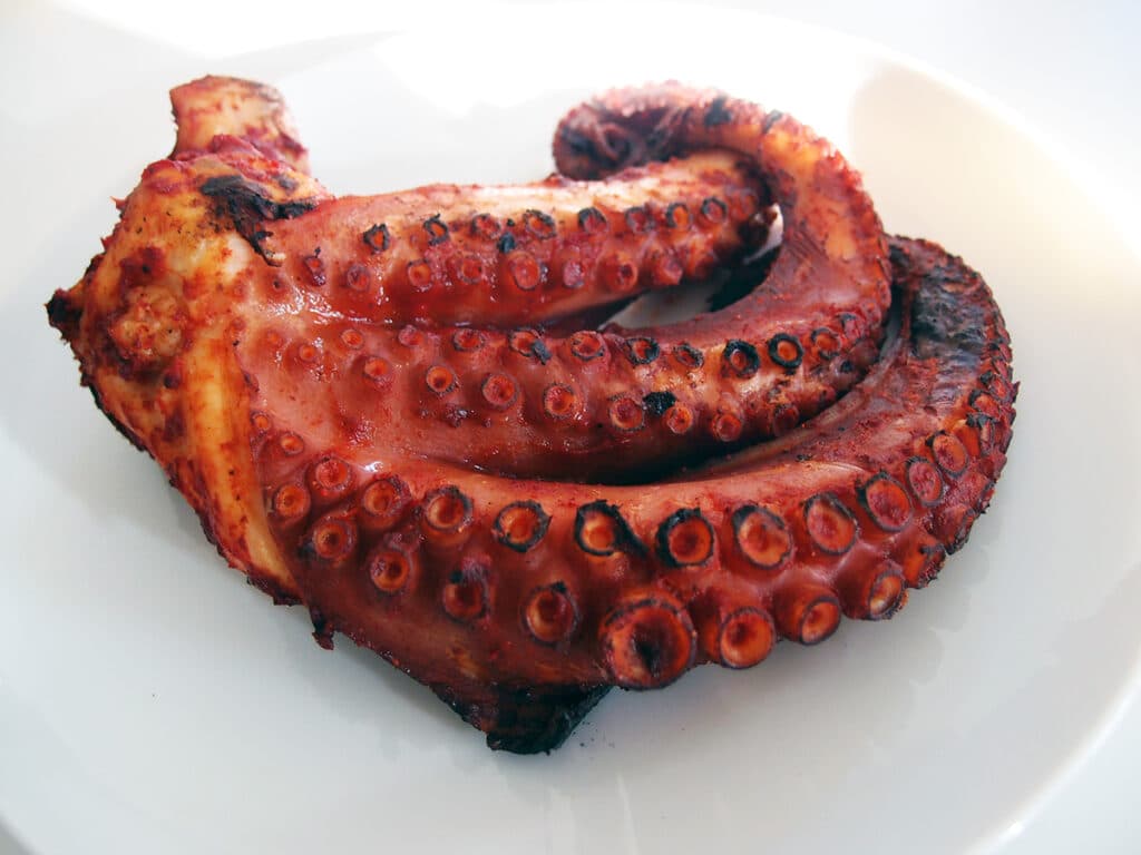 Grillet Blæksprutte